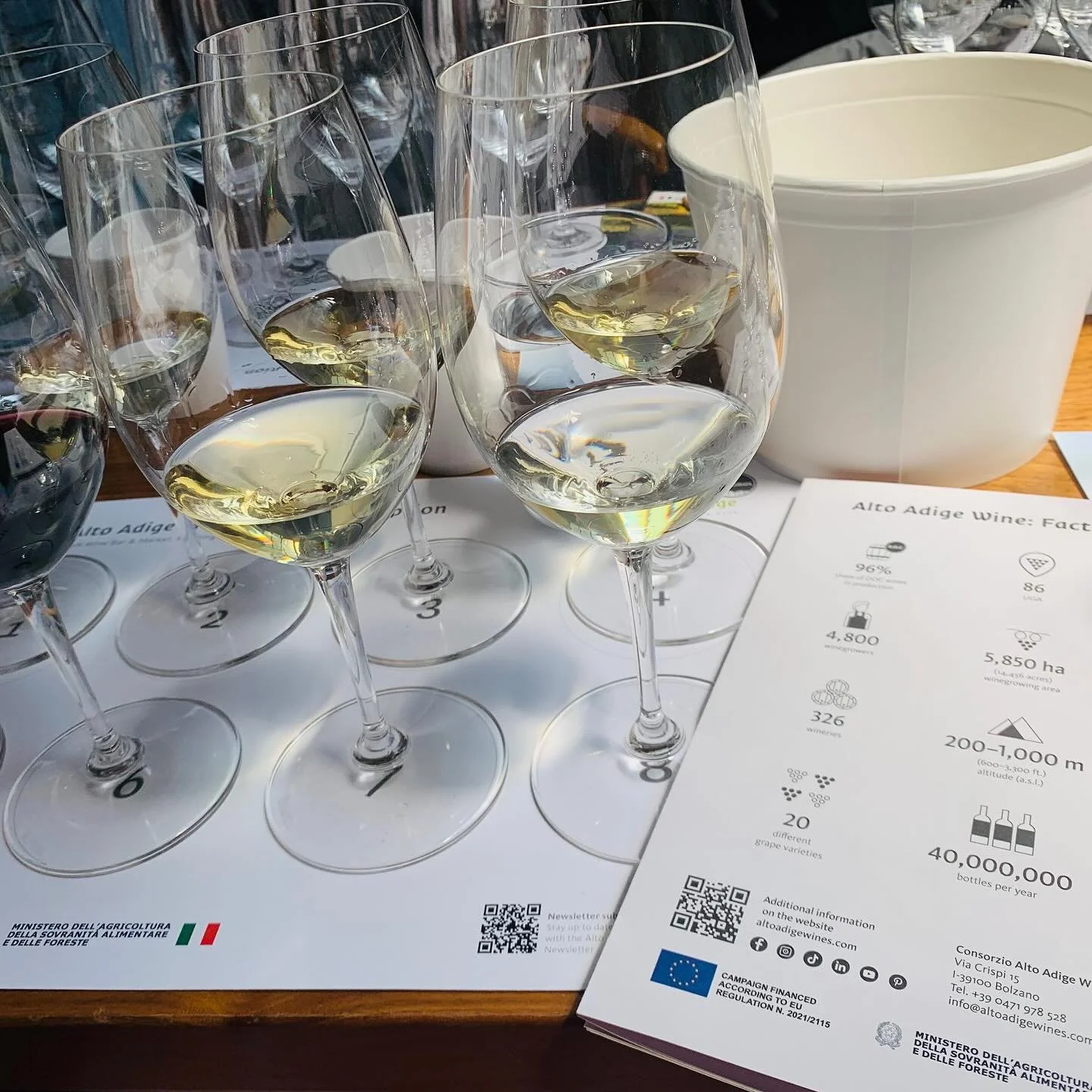 Last month, we were invited to participate in a masterclass and reception at @corkdc to learn about wine produced in the Italian region of Alto Adige, including its unique geography and varied terroir. The northernmost region of Italy, Alto Adige has