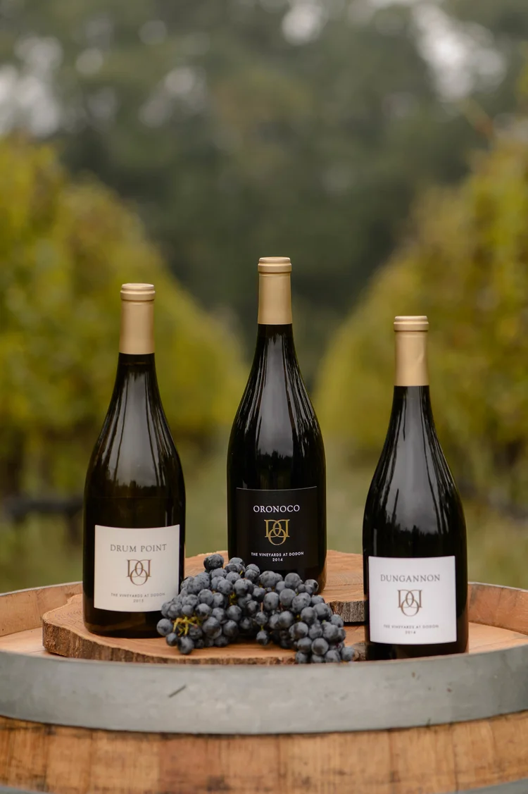 Vineyards at Dodon.png