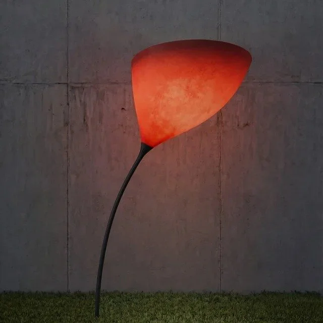 maxxi_poppy_02_on_44_11zon.jpeg