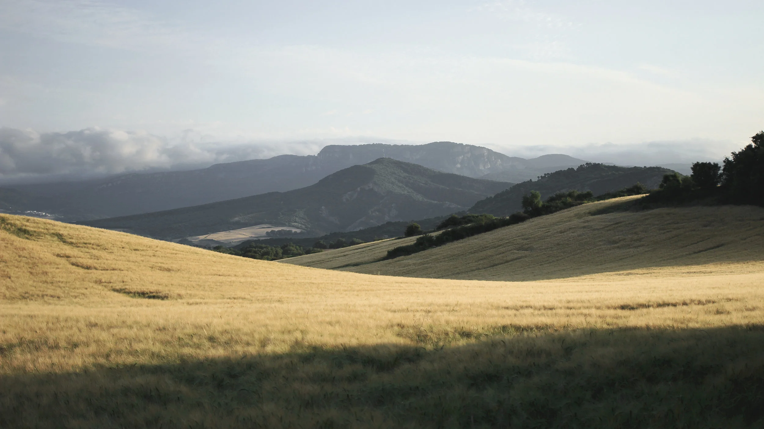 DAY 19 on the Camino de Santiago