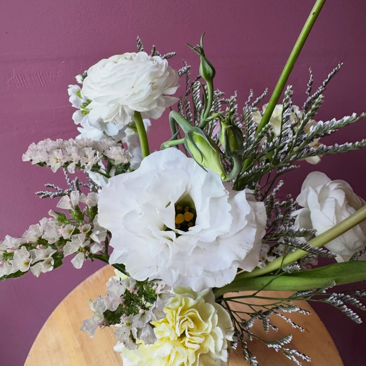 Up close and personal with a few spring blooms ☺️