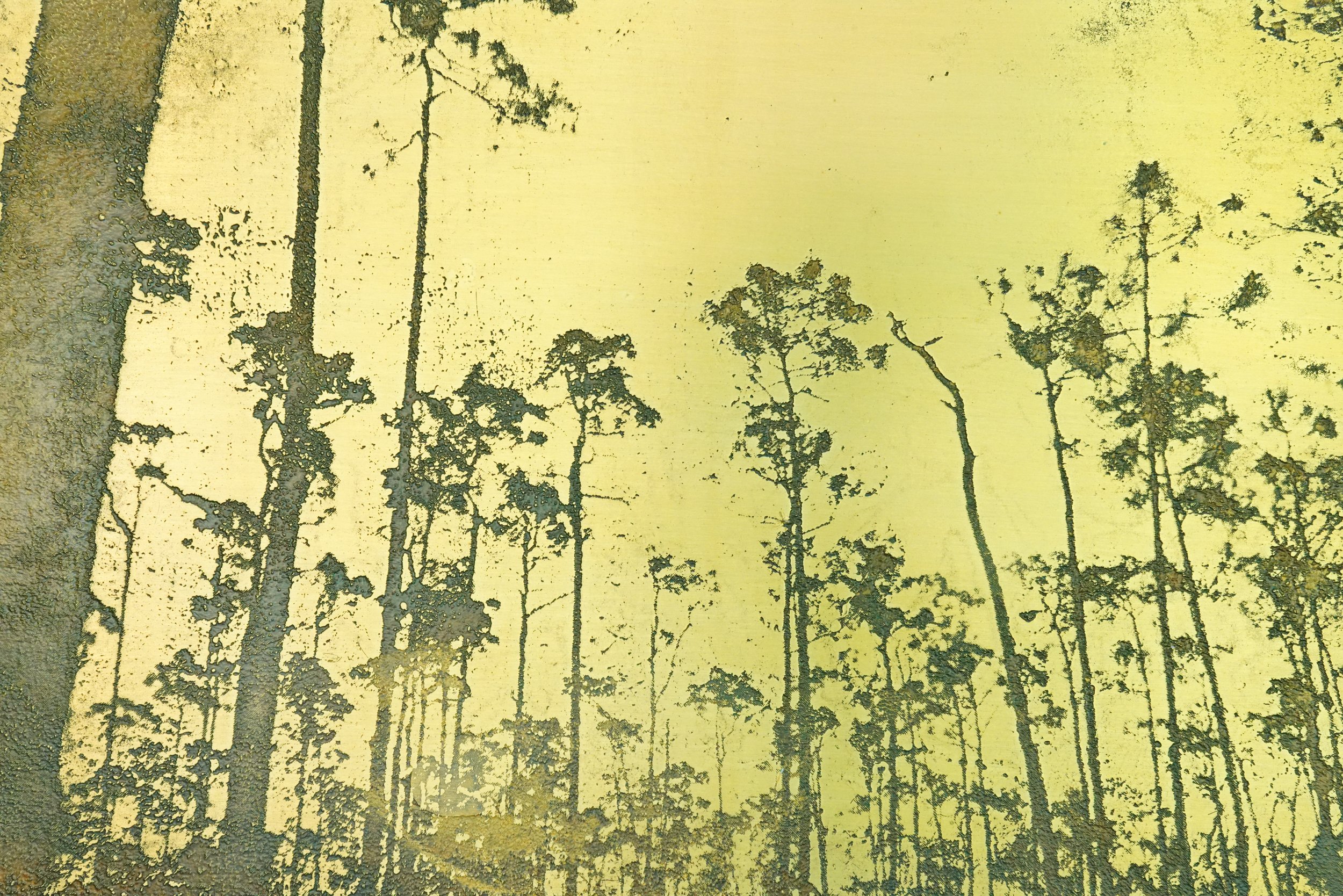 Portland, Maine Artist Mike M. Marks. Photograph etched in Metal