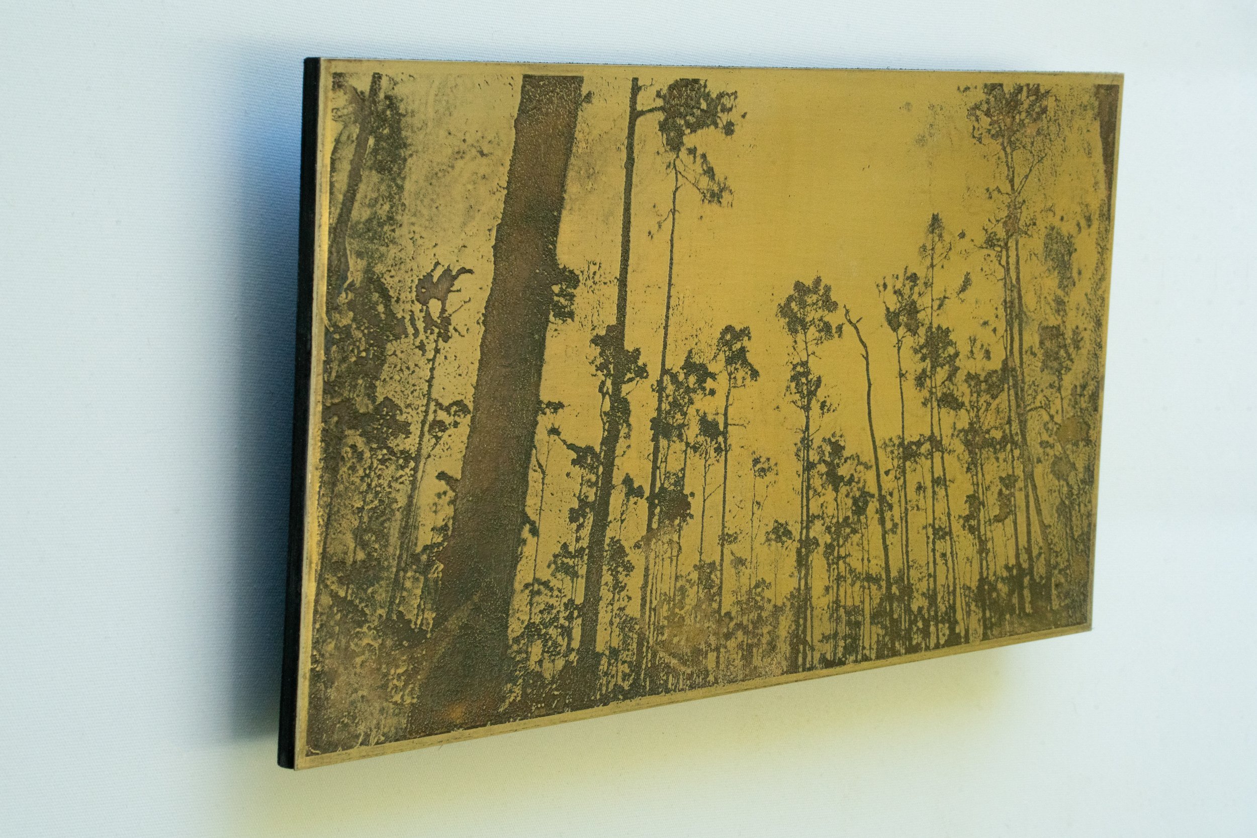 Portland, Maine Artist Mike M. Marks. Photograph etched in Metal