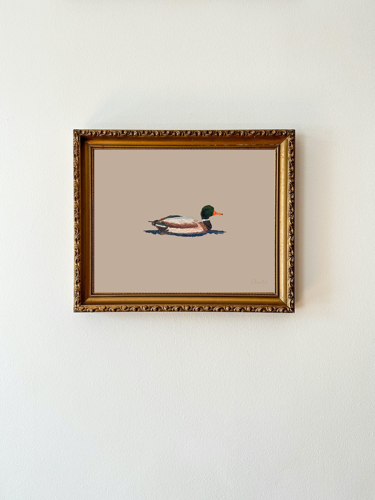Mallard no.2 | Fine Art Print