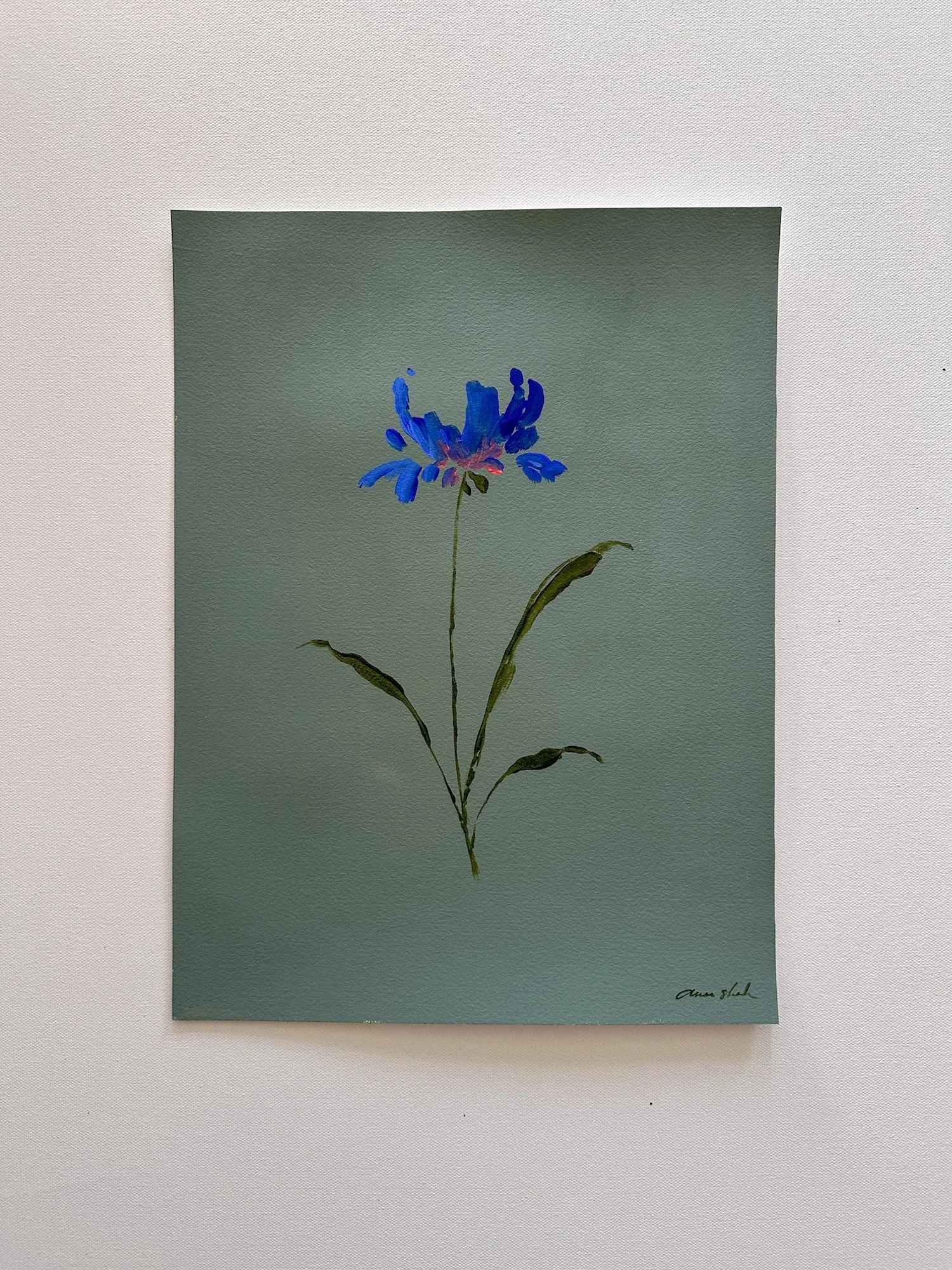 Blooming in Teal.JPG