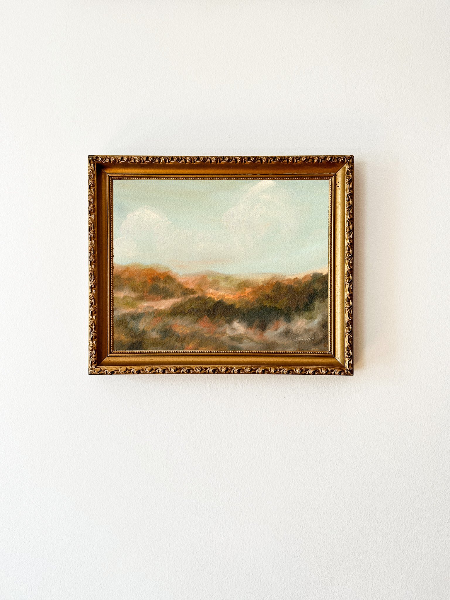 Sunlight Drenched | Fine Art Print