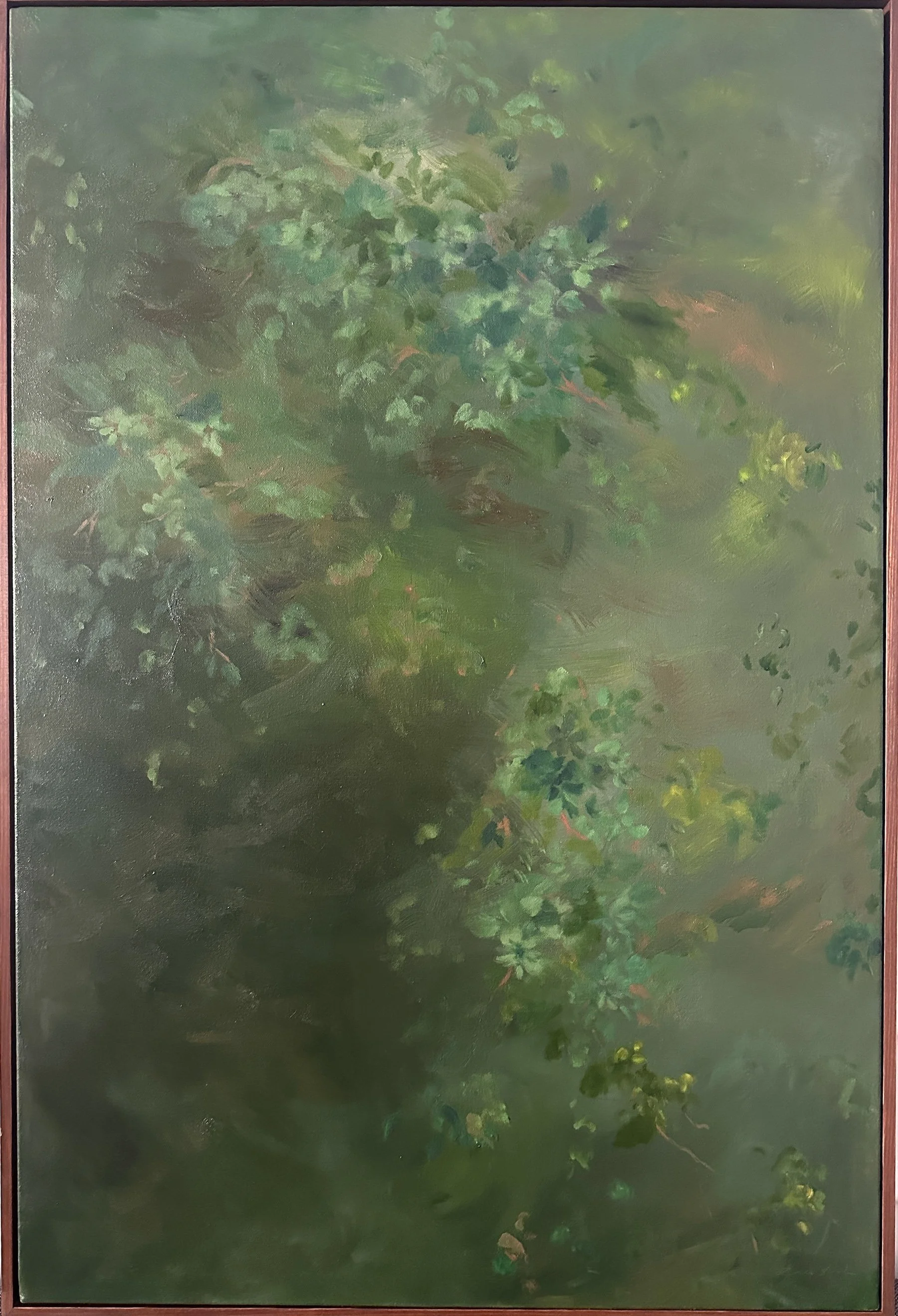 Canopy no.1 | 24x36" Framed