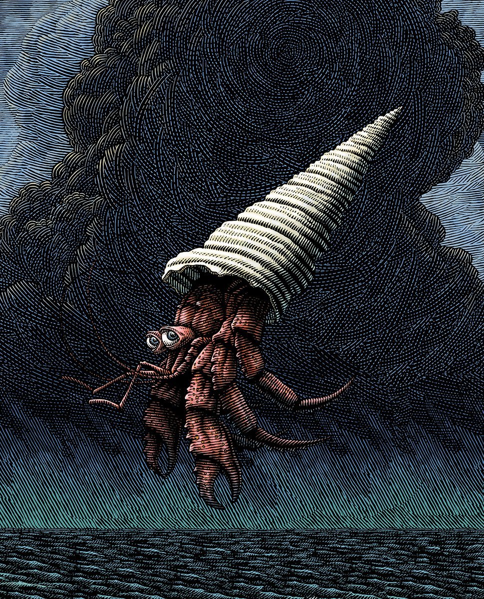 Hermit Crab
