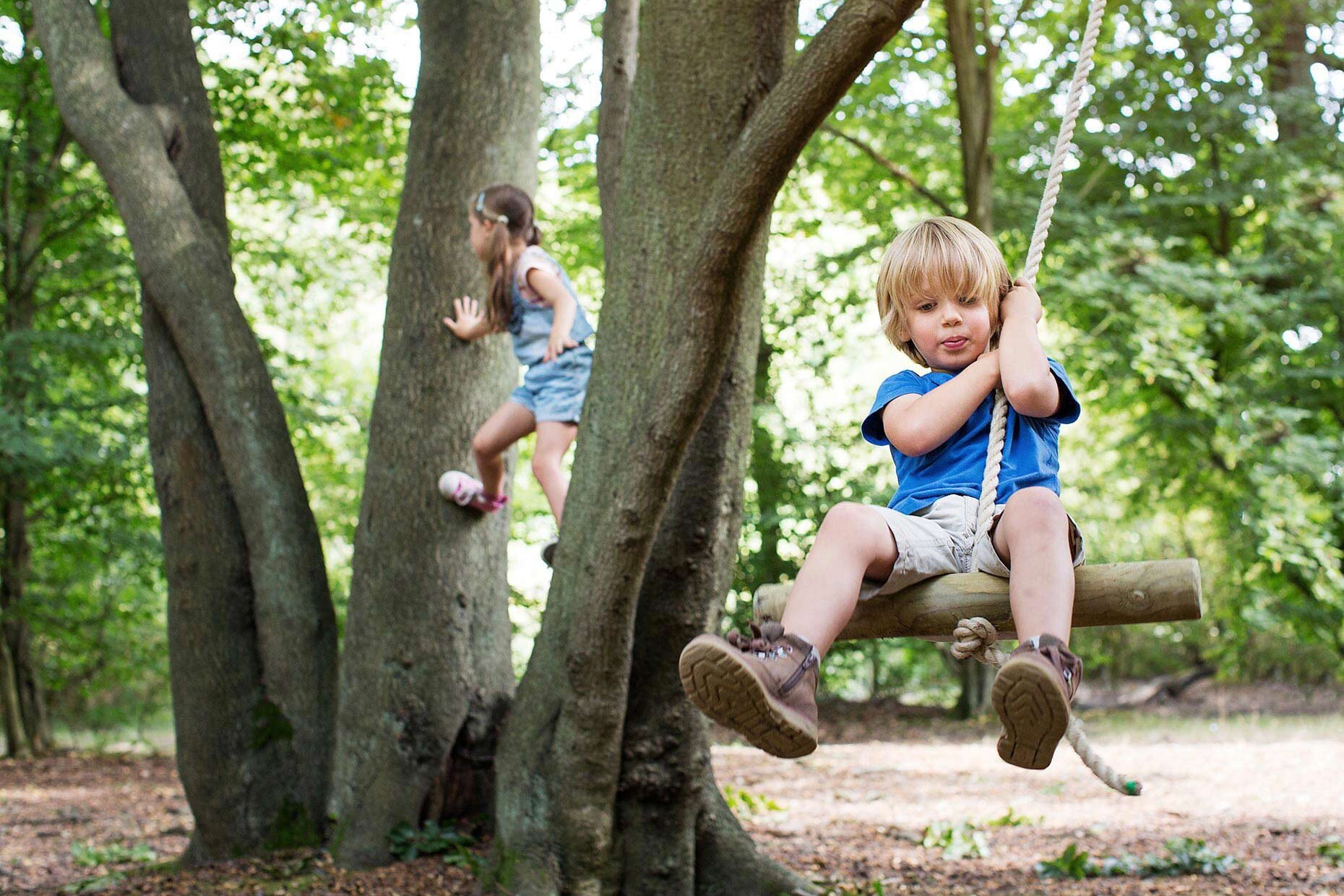 kids-playing-on-tree.jpg