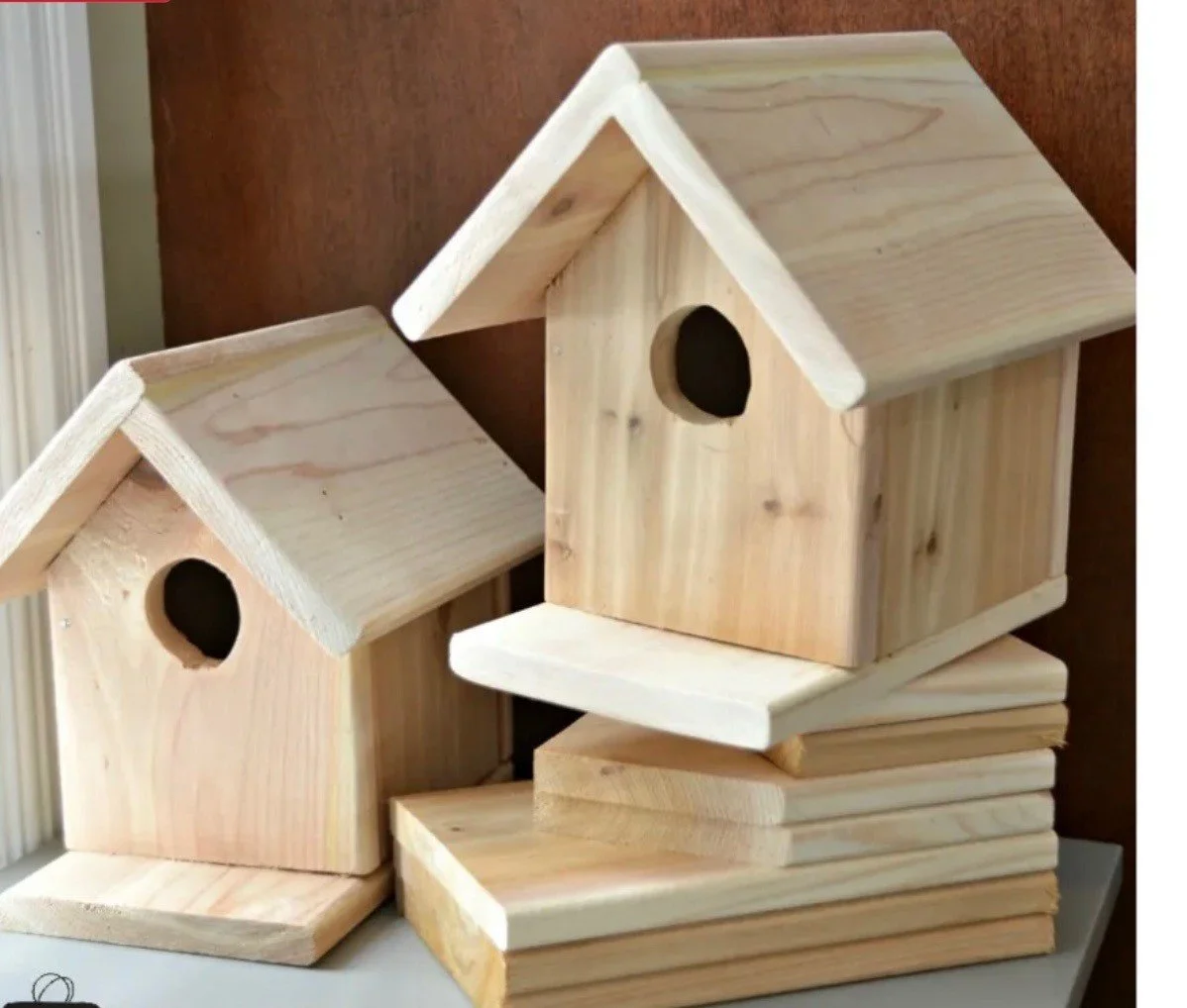 Farm Night: Build a Bird House with Joe