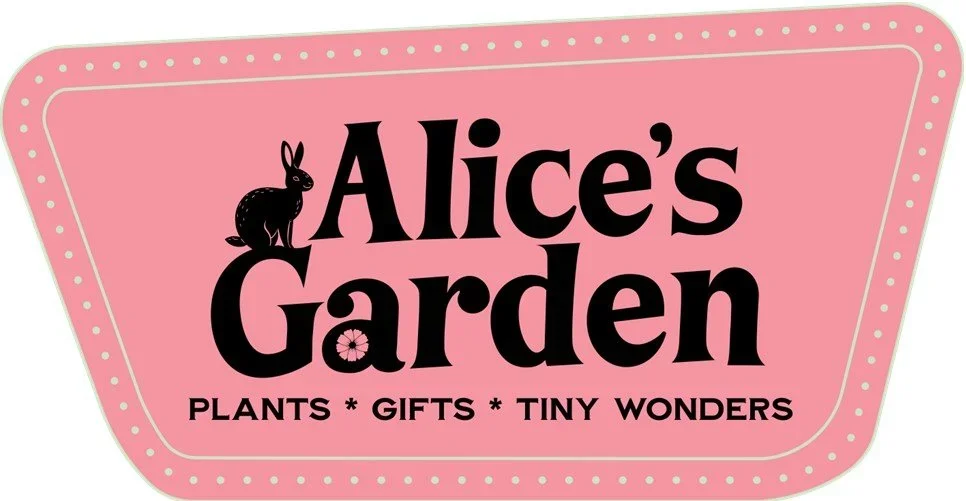 Intro to Gardening Class