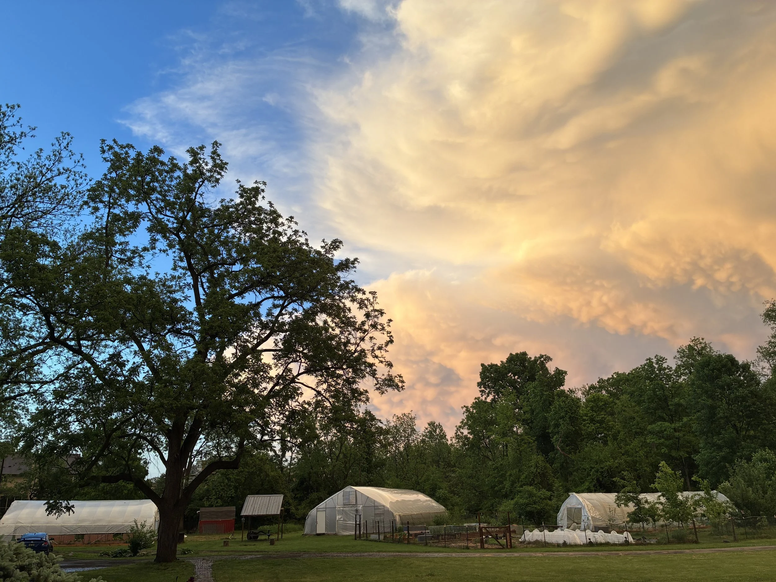 Open Farm Night