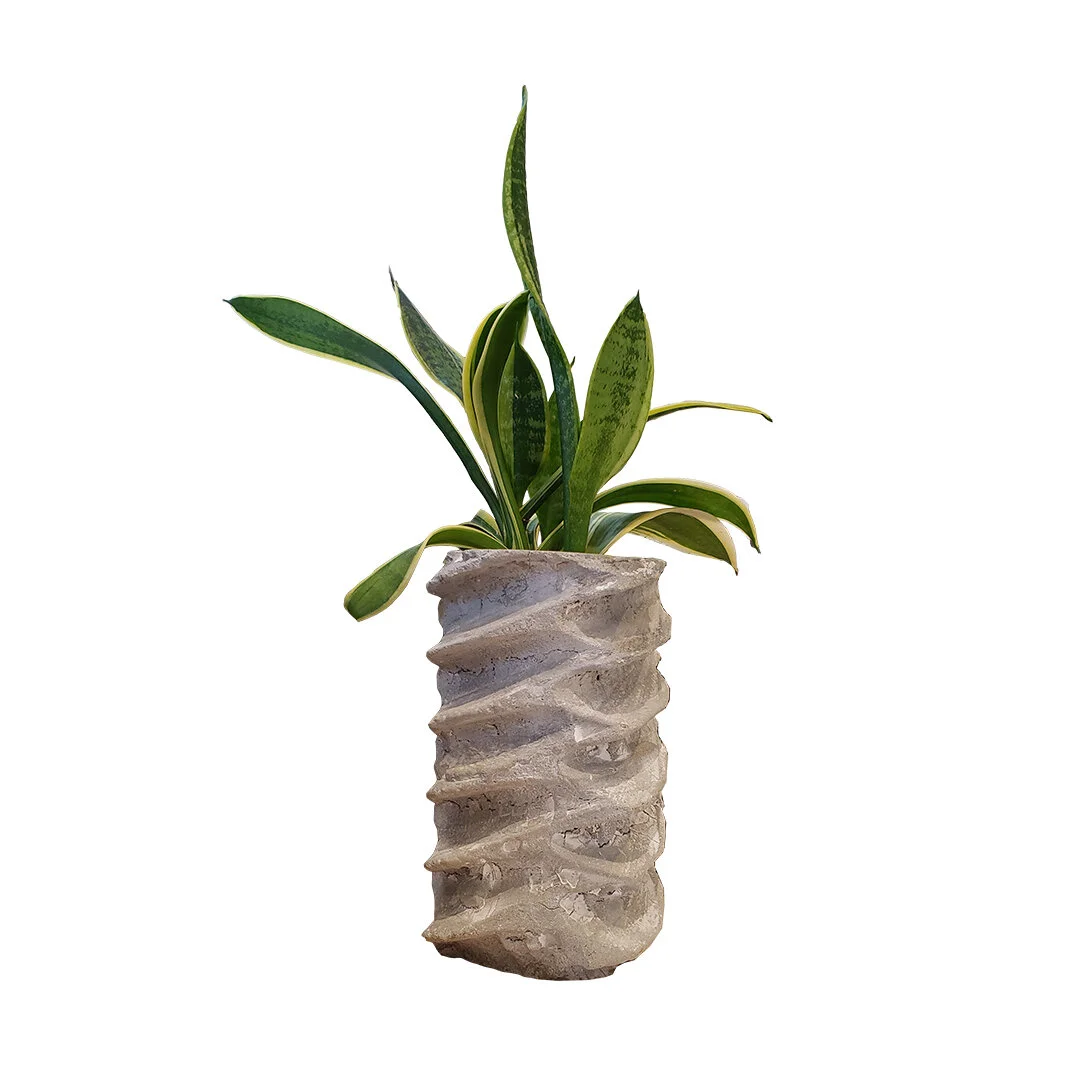FC_008.jpg