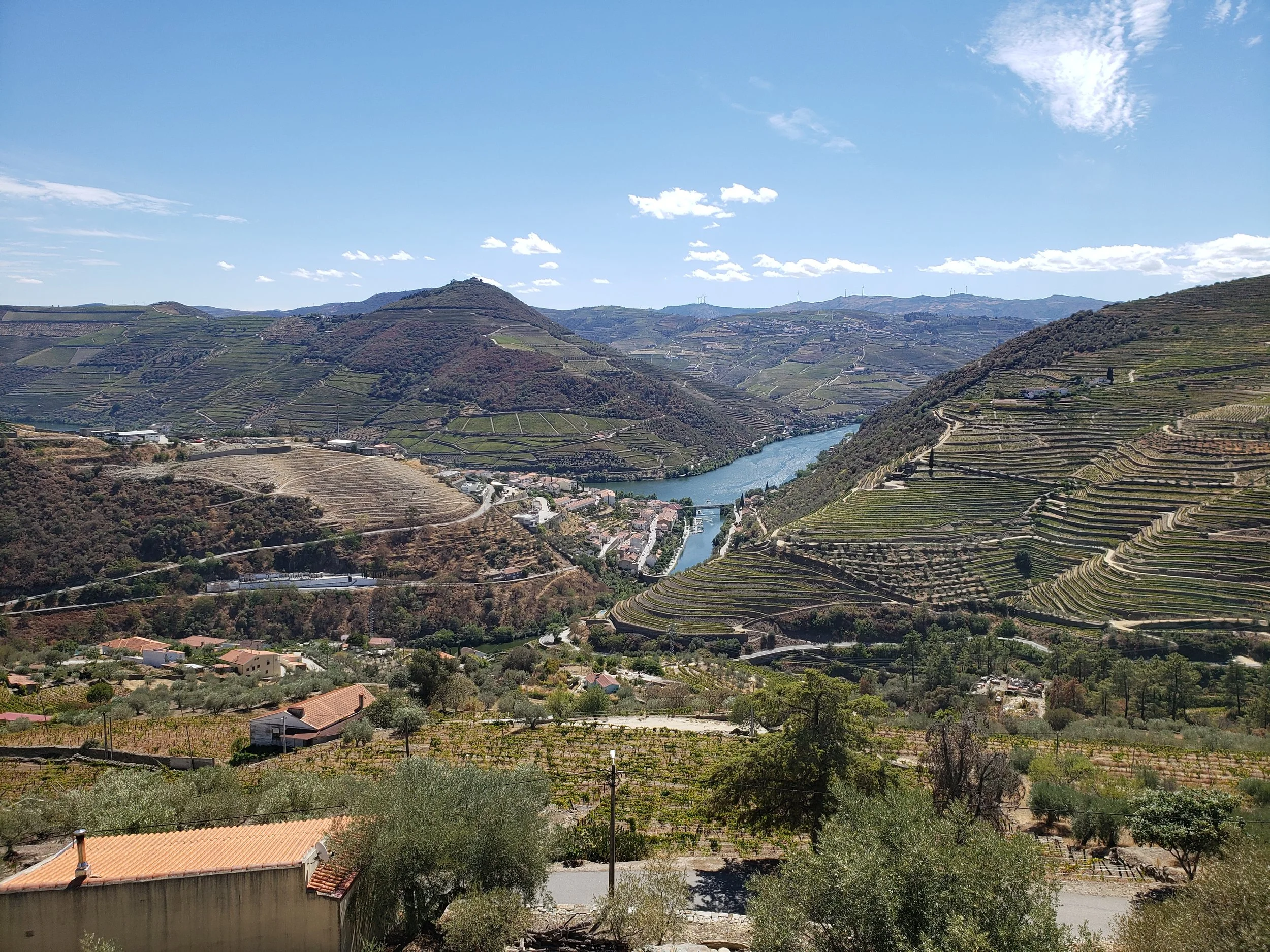 A scenic view of a river winding through a valley surrounded by terraced vineyards on rolling hills and mountains under a partly cloudy blue sky.
