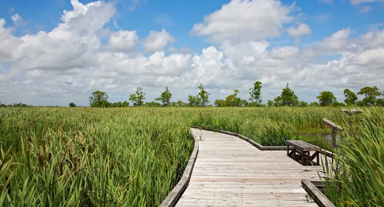 lakecharlesAM3.__72 DPI.jpg