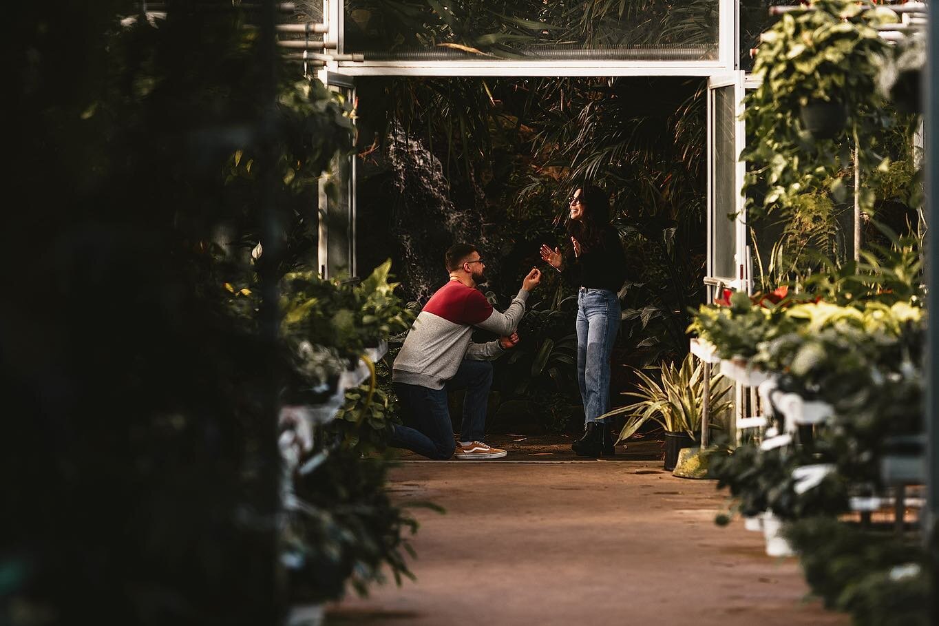 Congratulations to Natalie &amp; Max on their engagement! Ott&rsquo;s made for the perfect proposal backdrop 🪴
.
.
.
.

#lehighvalleyphotographer #wildhearts #portrait_society #muchlove_ig #wildhairandhappyhearts #createportraits #justalittleloveins