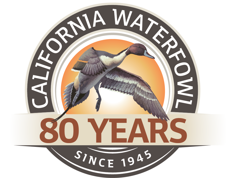 modify-80th-logo-10-14-24-w-transparency.png