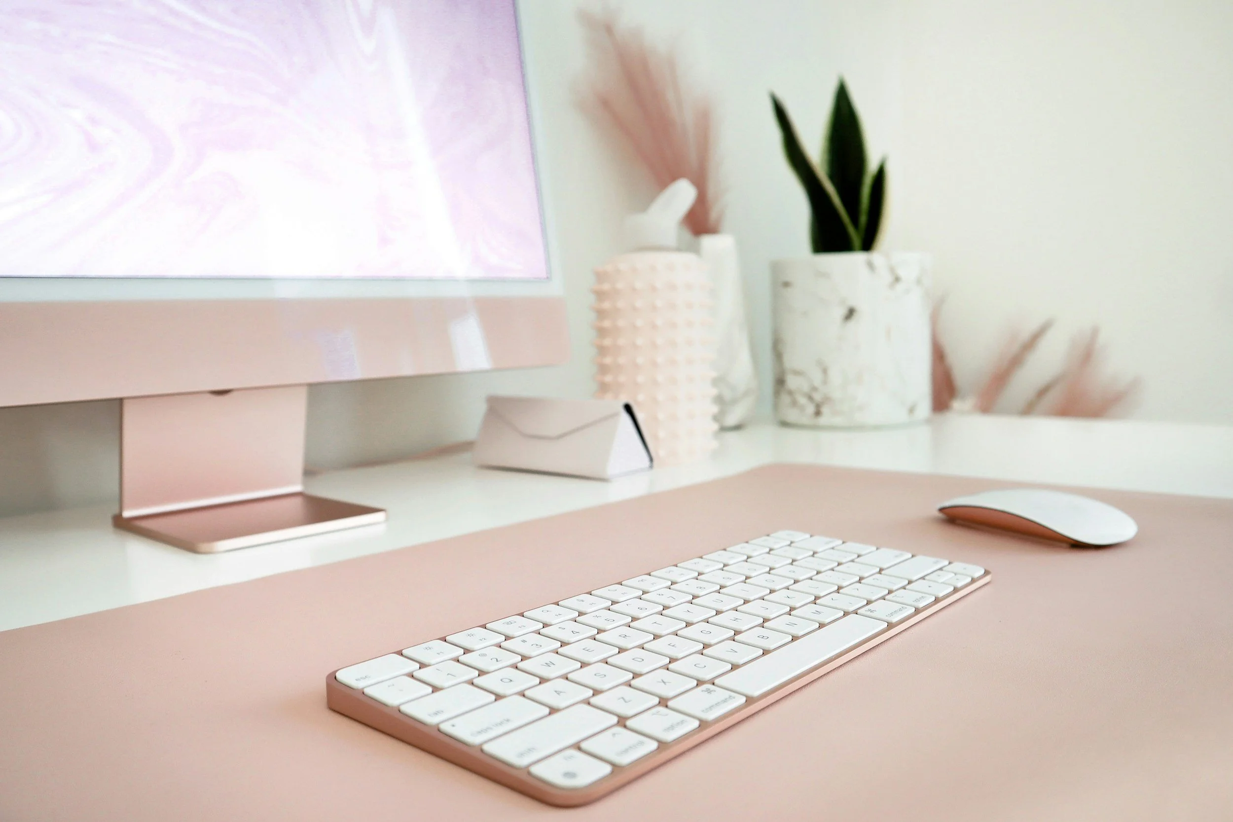 computer desk with small plant and rose tinted computer