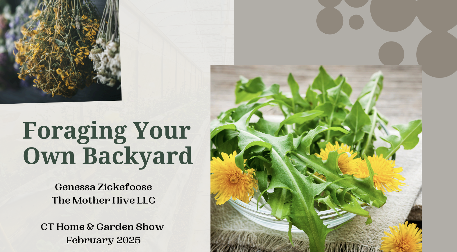 Foraging Your Own Backyard slidedeck with dandelion leaves and flowers