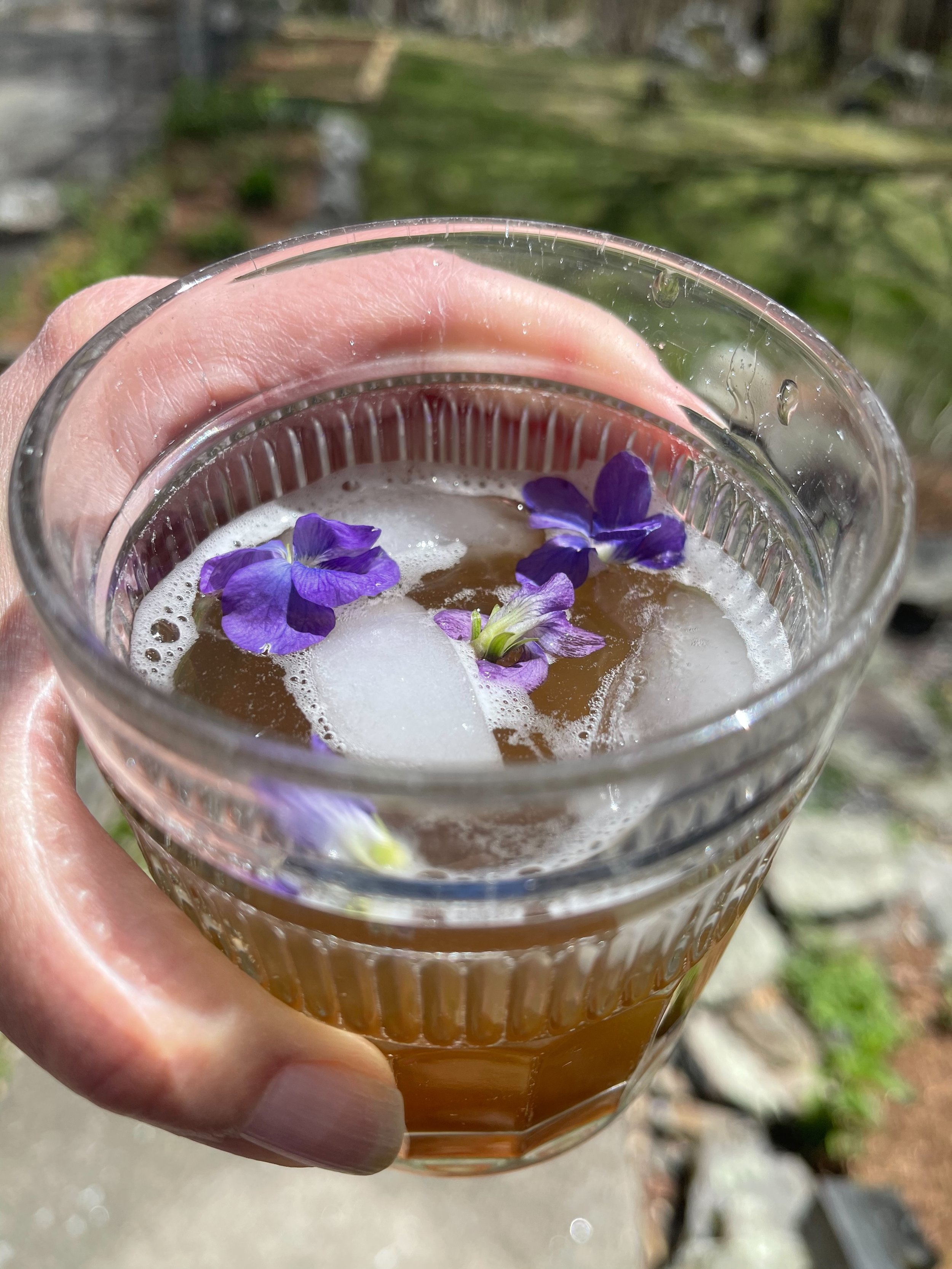 glass with liquid and ice drink with fresh violets on top