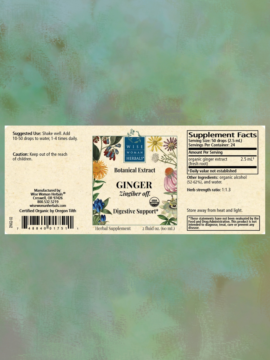 Ginger 2.png