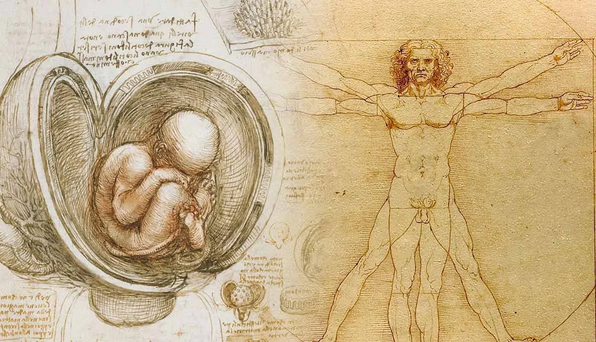 Community in the 4th Dimension