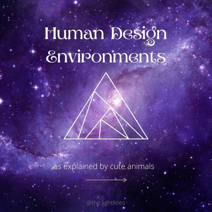 Is this the ultimate intersection of my primary interests in life: animals and Human Design? Yes, yes it is. Thanks for asking 😹
.
If you want to learn more about the Human Design environment types, check out my website! (No animals included there b