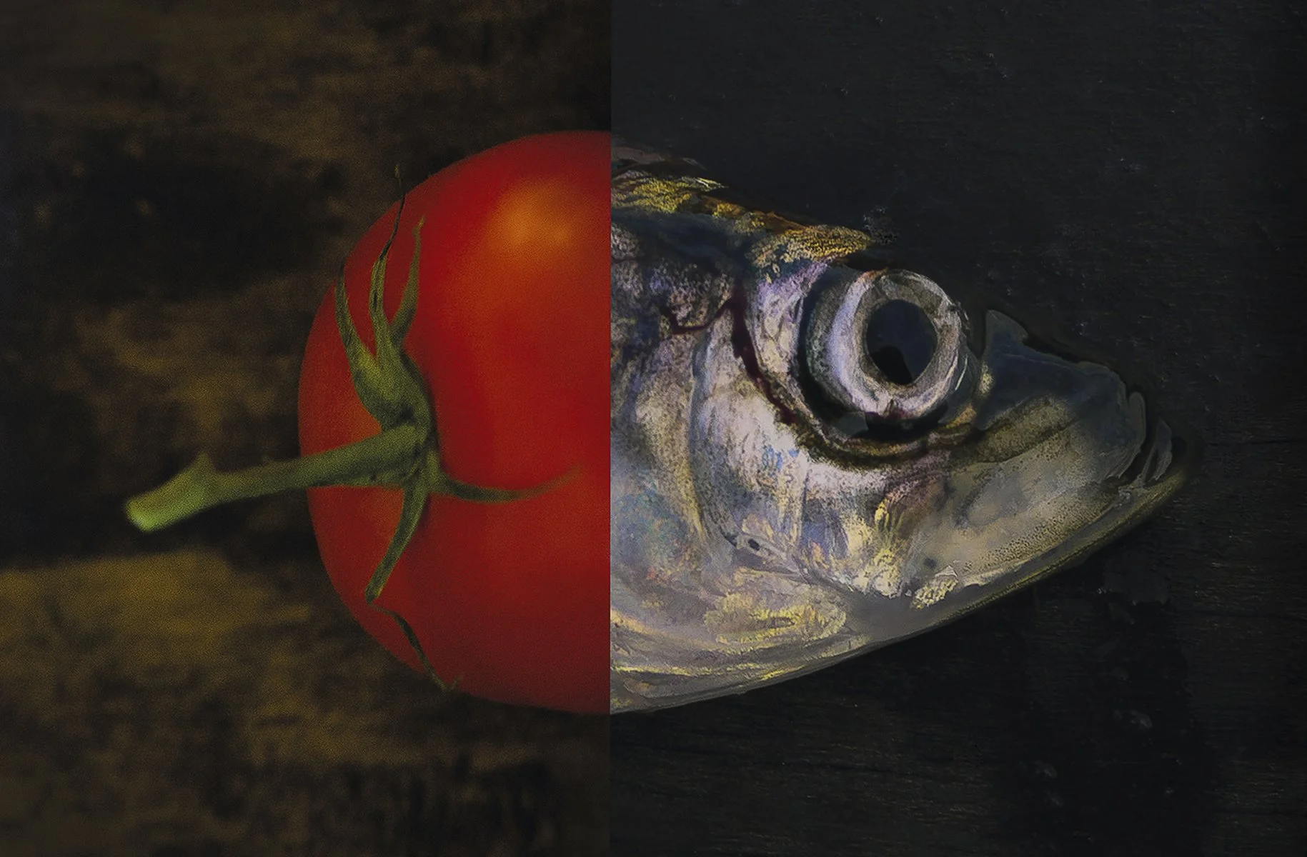 "Tomatsild"