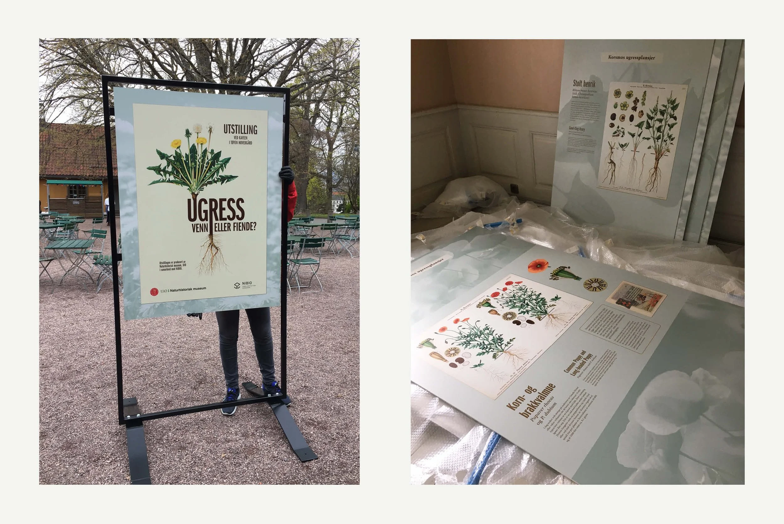  Fra montering av utstillingen. 