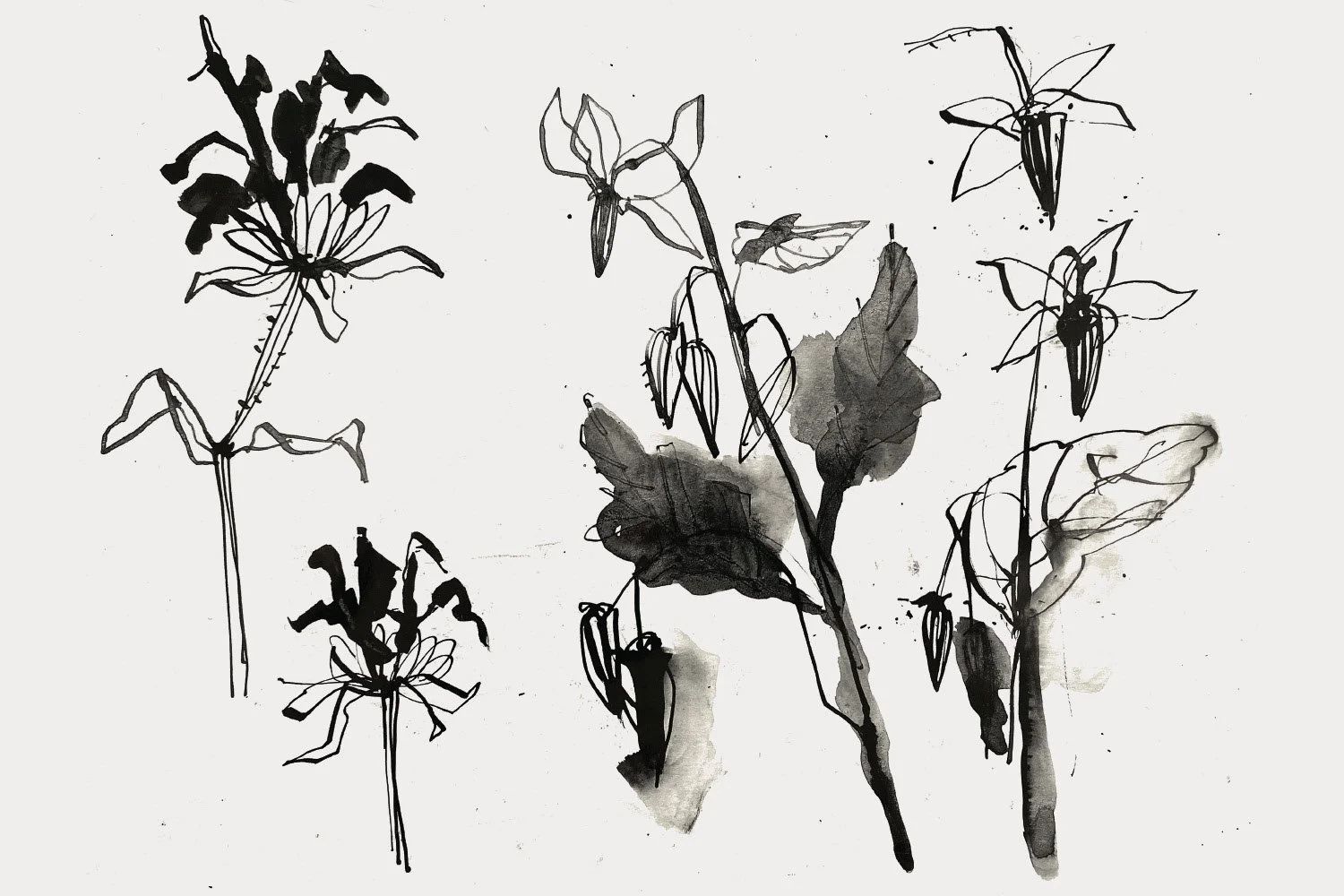 Jensendesign.no_1500x1000px_Strektegning_01.jpg