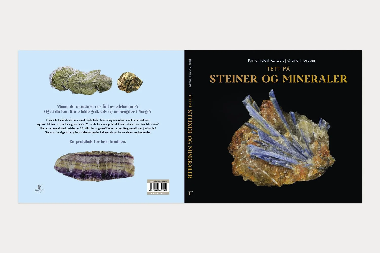 Jensendesign.no_1500x1000px_Steiner og mineraler2.jpg