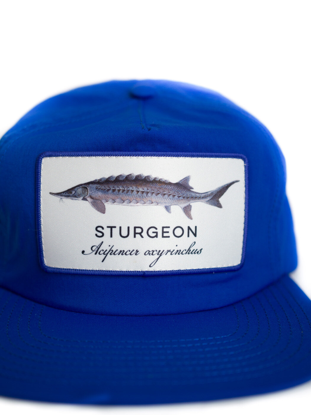 Sturgeon . Blue — Mad Agriculture