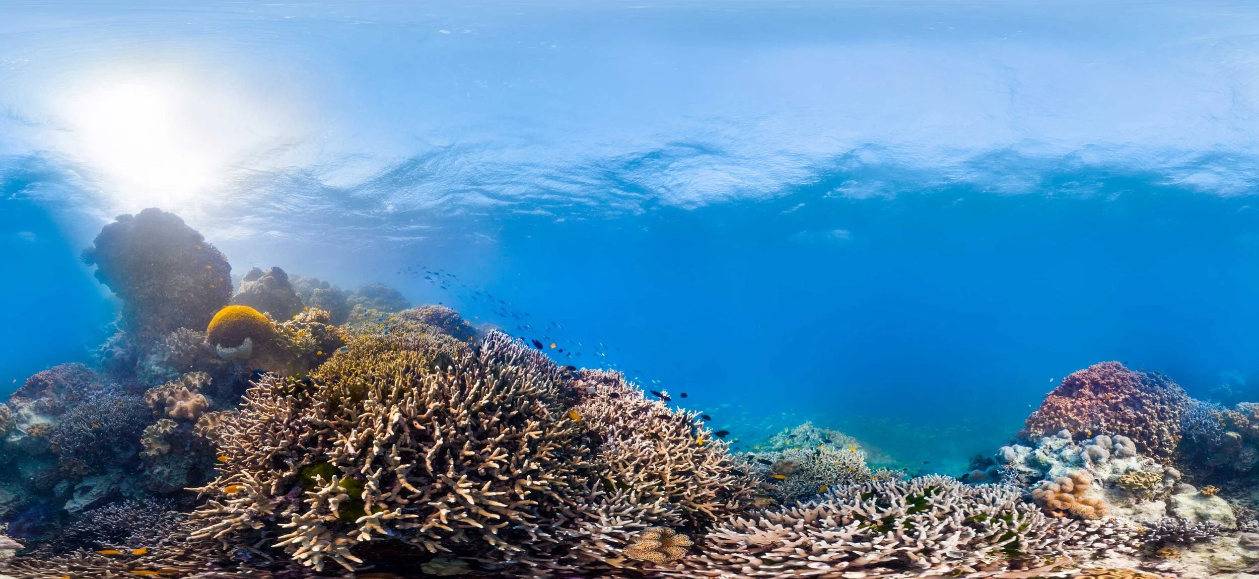 PANO_GBR_Lizard-Island-00610952_©-Underwater-Earth_XL-Catlin-Seaview-Survey_Christophe-Bailhache.jpg