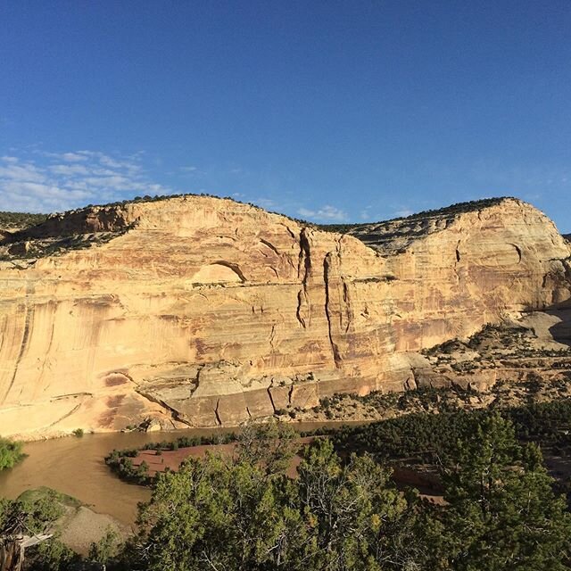 When I was trying to figure out a name and a mission for my business I wrestled with it. Especially when I landed on Canyon Home Pro. I just couldn&rsquo;t really think of anything better I guess?  But it actually comes from the perfect place, in the