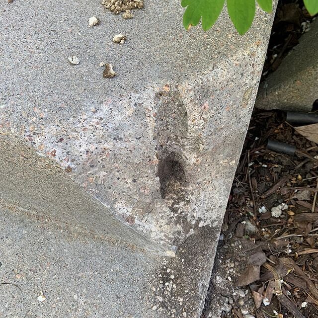 I really like doing little masonry repairs. May be a close second behind toilets...when the weather is nice it&rsquo;s some of my favorite work. We did some little repairs on this stoop that came out alright.