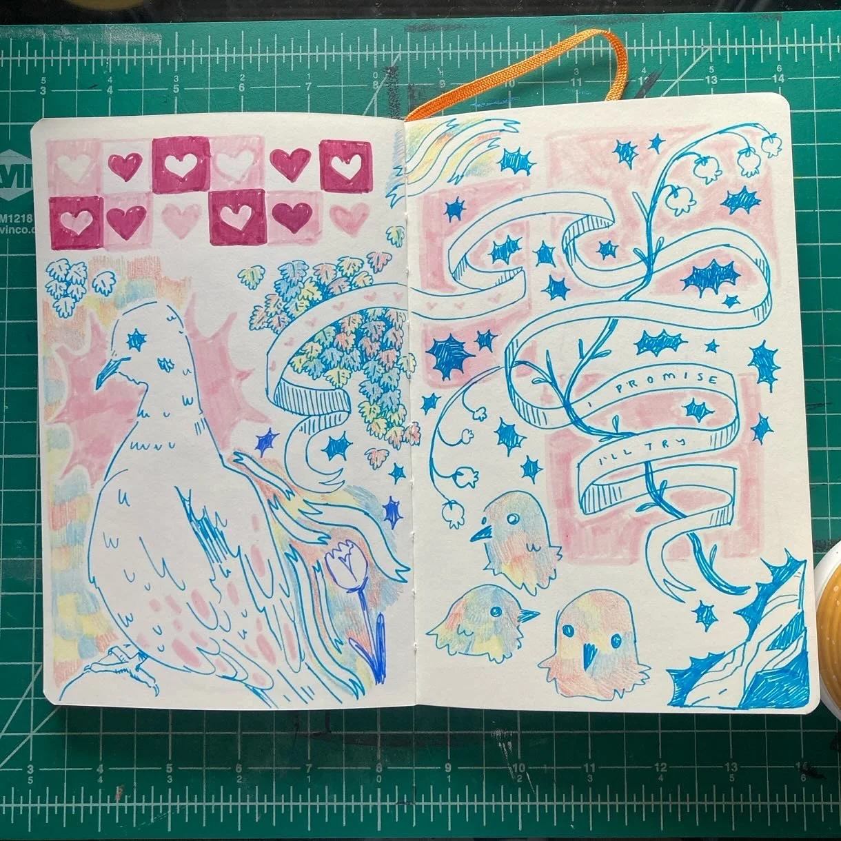 6FCDE791-B0CA-4D5A-9F7E-03A6E9F7A686.JPG