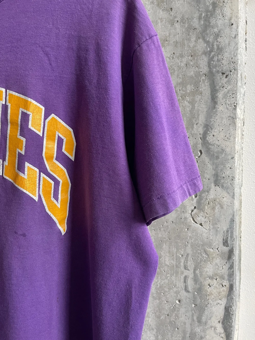 80s/90s Single Stitch Champion Washington Huskies Vintage