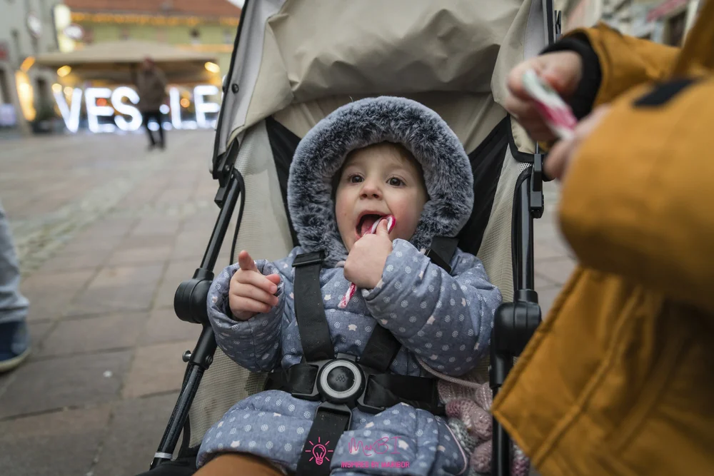 2019_12_1_Barbara_zbor_rotary_17.jpg