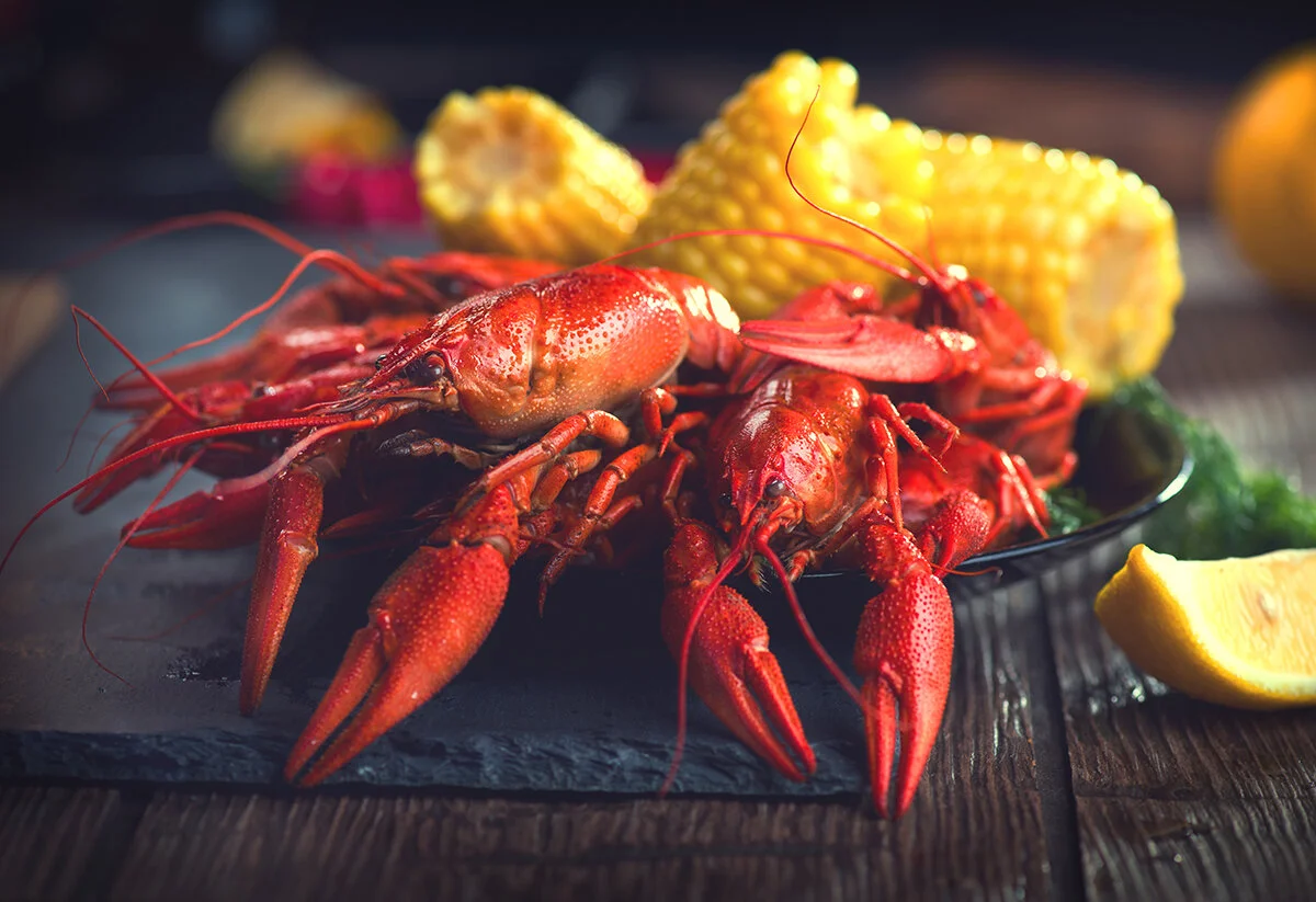 Yummi Crab