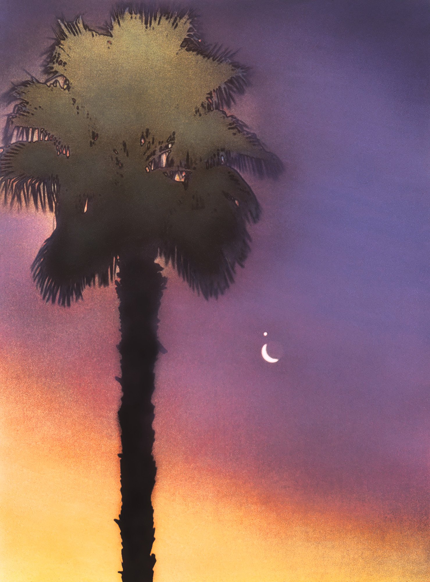 "Palm Tree, Moon and Star"