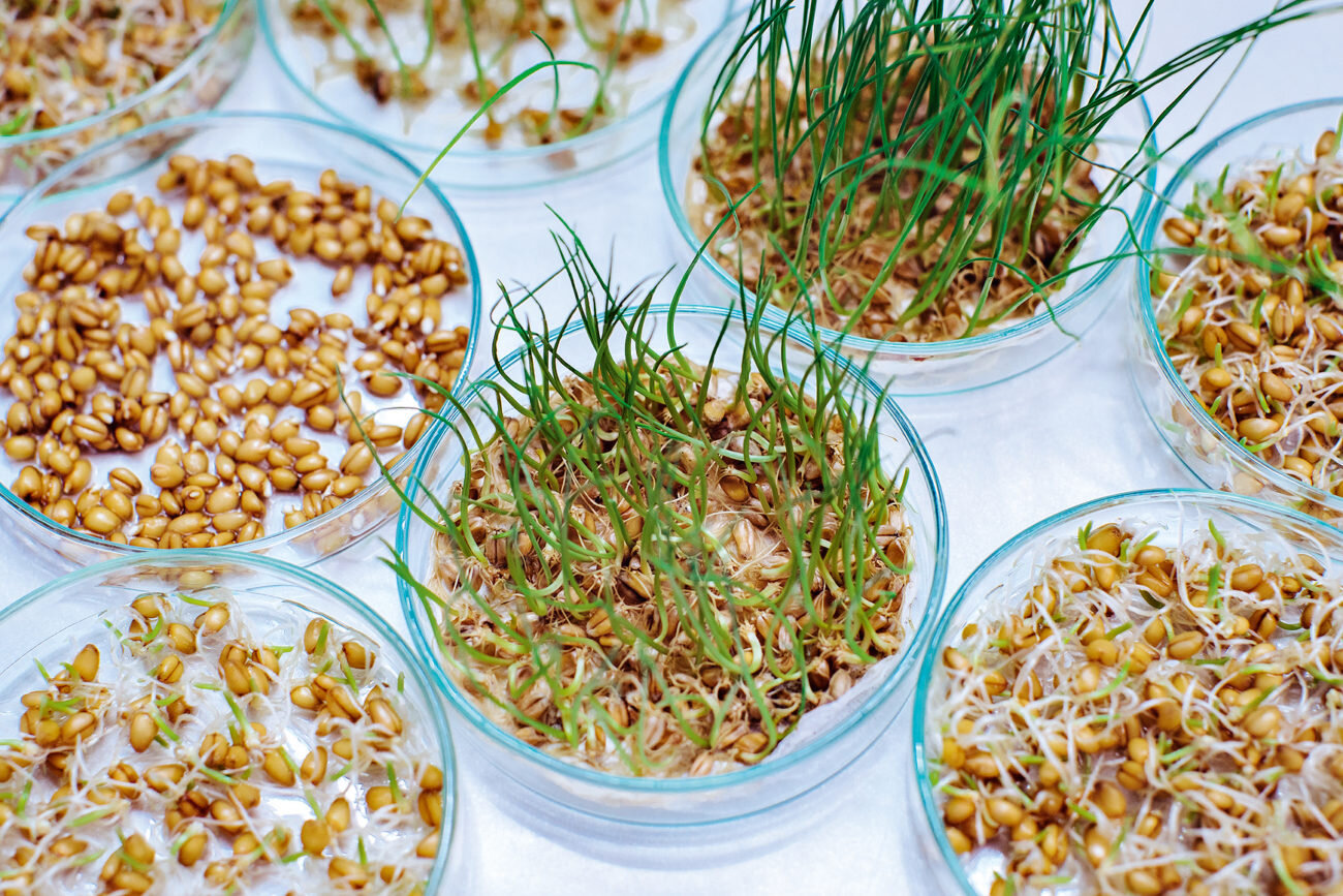 Photo by Maxim Avdeev.