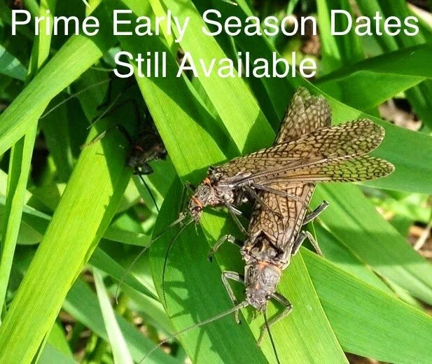 Prime Early Season Dates Still Available
