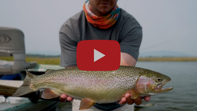 Late summer on the Henry's Fork