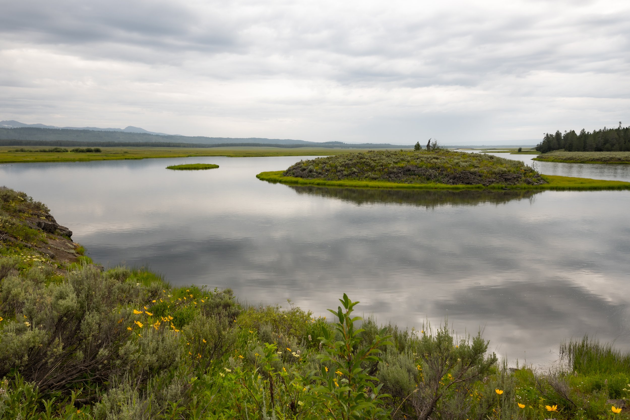 Prime Availability: August 25th- 28th! 