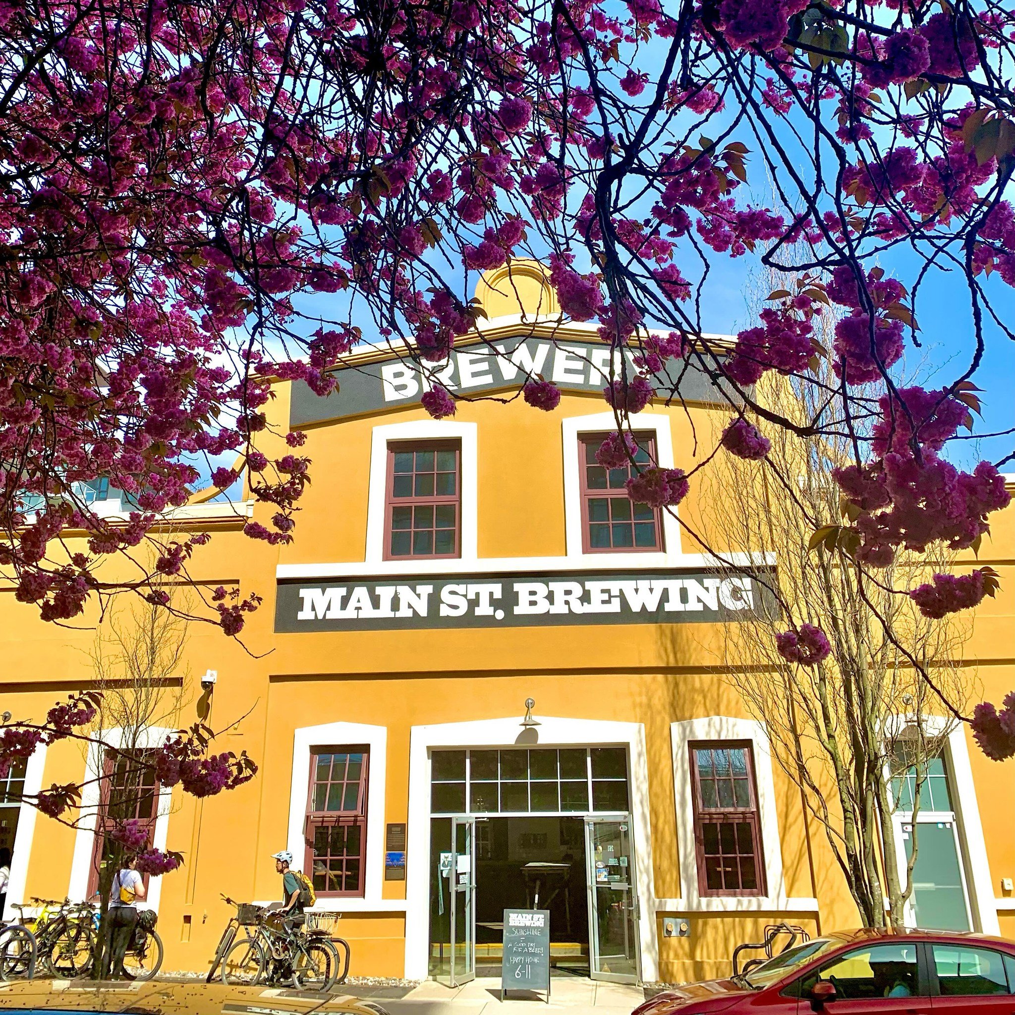 IN BLOOM

Cherry of a day out there. Get out and get after it.

Happy Hour in effect until 6 p.m. today and from 6 p.m. to close Saturday and Sunday. Patio? WHY YES.

Bring sunscreen. Bring pups. Be thirsty.

🌸🍻🌞🕶️❤️

#mainstreetbeer #beerstagram