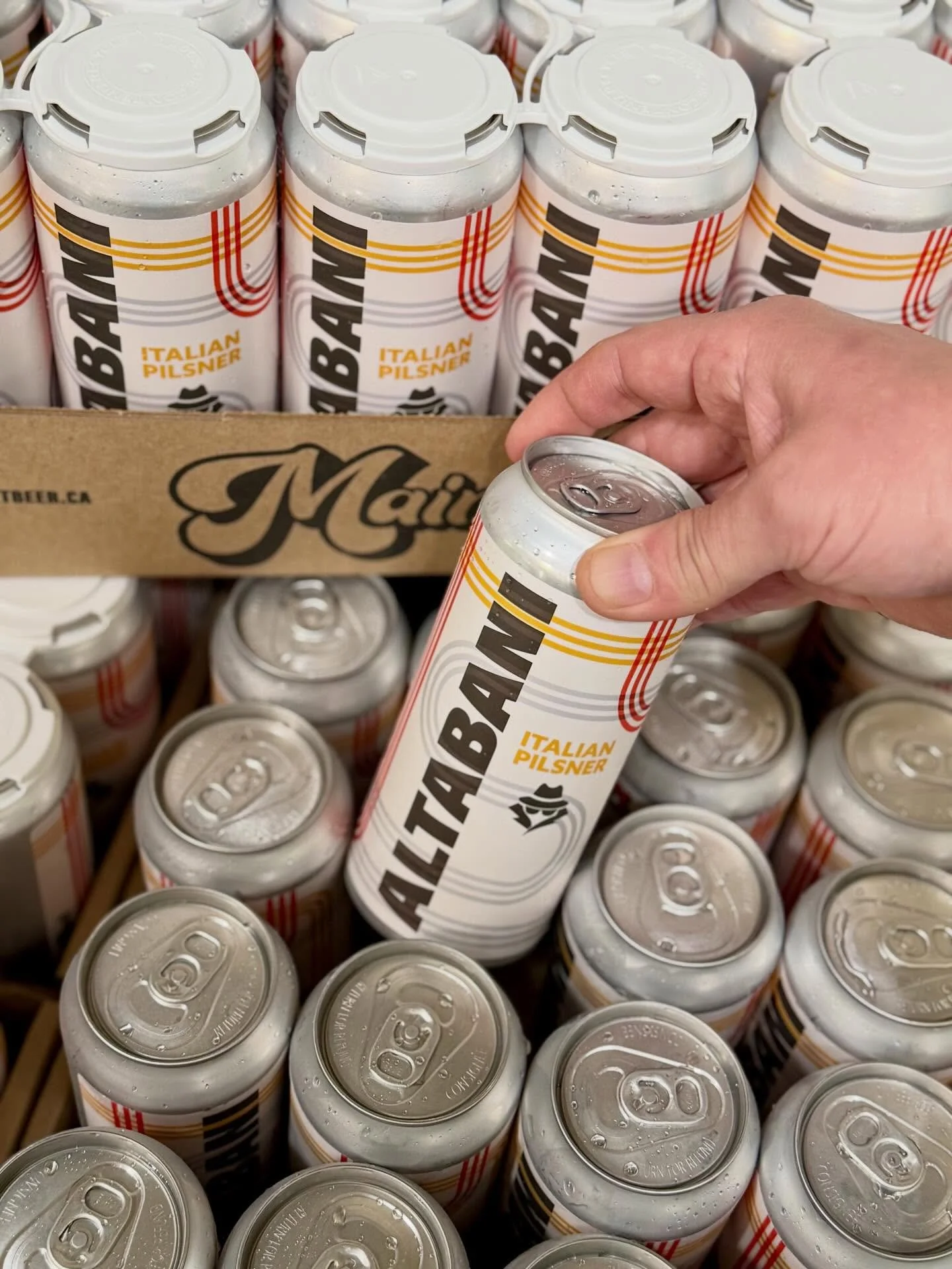 CIAO, CAPO!

Bend a knee to the new boss.

COMING SOON: ALTABANI Italian Pilsner

This new brew gets its name from the 𝘊𝘢𝘱𝘰 𝘥𝘪 𝘛𝘶𝘵𝘵𝘪 𝘊𝘢𝘱𝘪 &mdash; a.k.a. the mafia boss of all bosses &mdash; in the classic 1969 film The Italian Job.

No