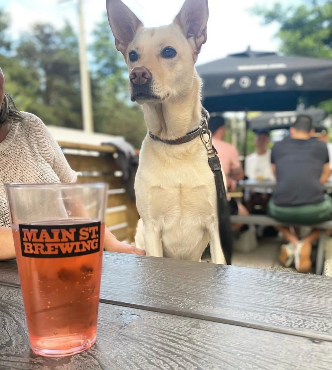 GOOD NEWS / BAD NEWS

Bad News: Tap Room closed at 5 PM tonight for a private event!

Good News: Retail Side and pet-friendly patio still open for business!

Bad News: You&rsquo;re not invited to the private event.

Good News: Might not be your type 