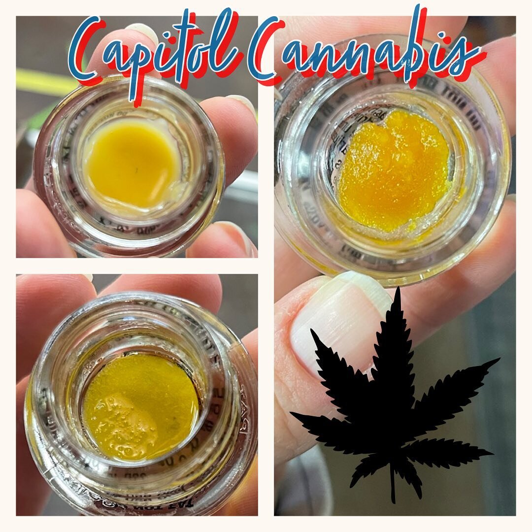 New Brand 🤤 Capitol Cannabis brought some saucey, fragrant concentrates by the shop today! 
Top left: Grape Durbs - 63.14% THC | 0.12% CBD | 7.7% TERPS
Bottom left: Sequoia Berry - 72.35% THC | 0.17% CBD | 3.88% TERPS
Right: Gorilla Glue Gelato - 76