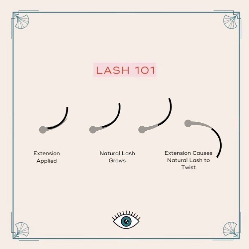 Did you know? On average, a person can lose up to 20% of their natural lashes every two weeks. Depending on their individual lash growth cycles, a person can typically shed between 1 and 5 natural lashes every day.

That&rsquo;s why maintaining 2-3 w