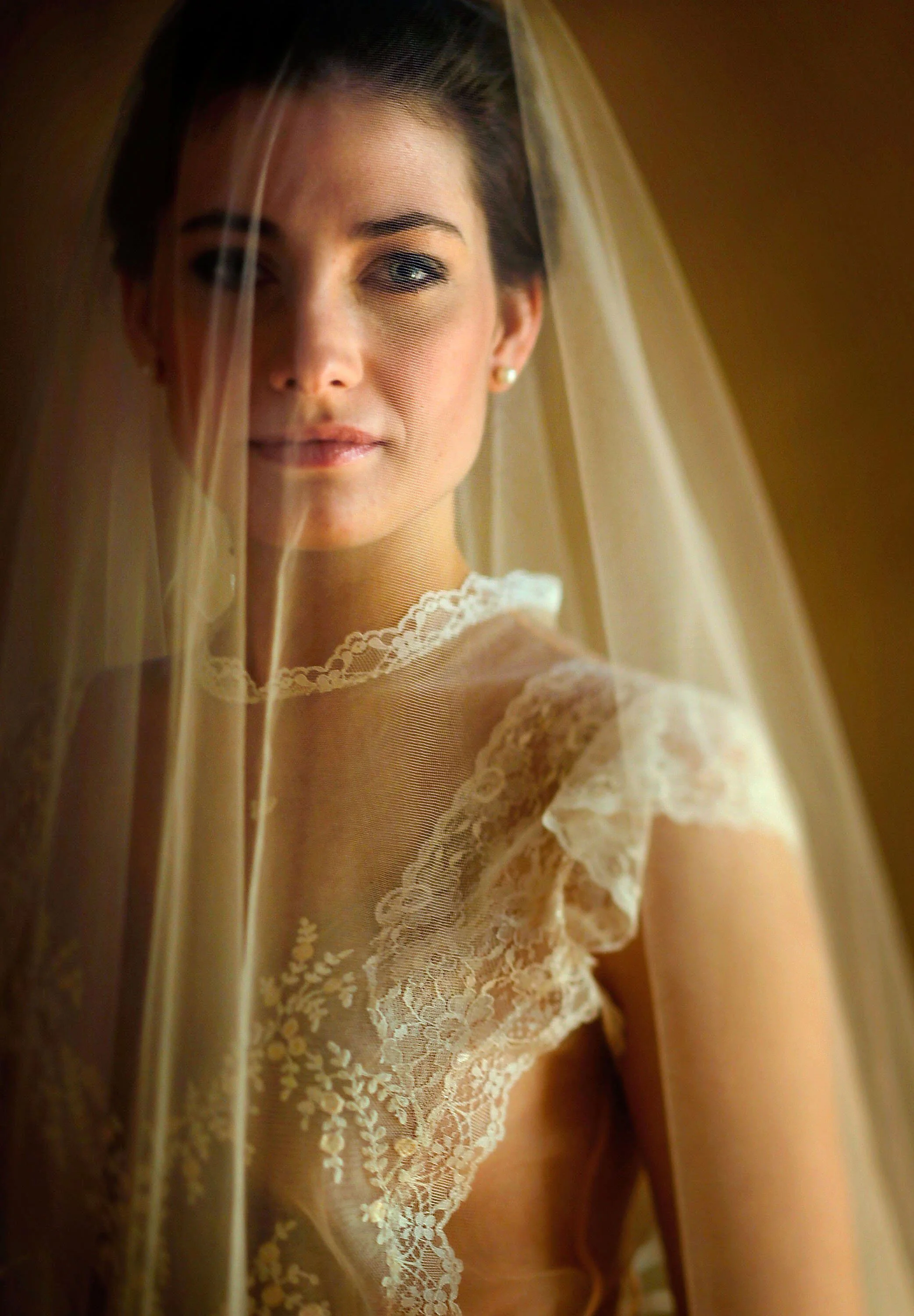  Hand-embroidered flowers accent the bodice of this cap-sleeved gown and veil by Pat Kerr.    